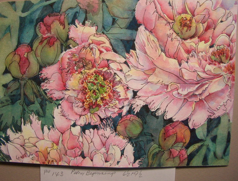Pink Peonies in watercolours and black ink