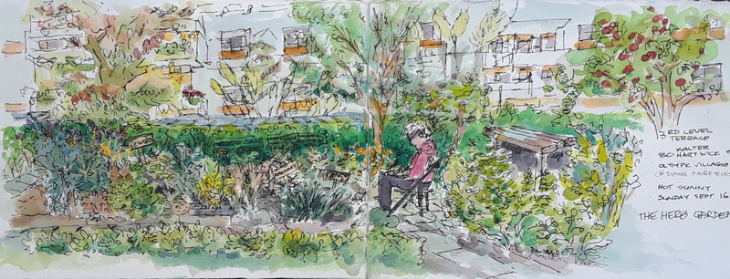 Sketcher sitting in the middle of a herb garden
