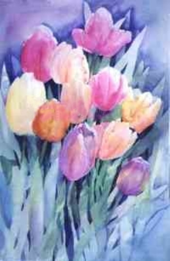 Pastel coloured tulips