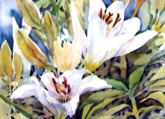 w/c painting of 3 white lilies with several buds