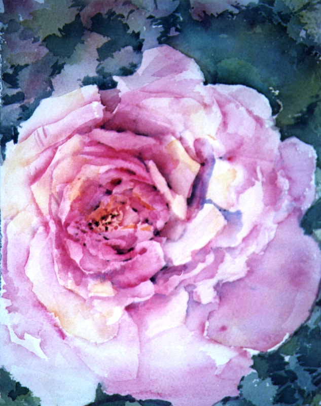 A single pink rose in full bloom