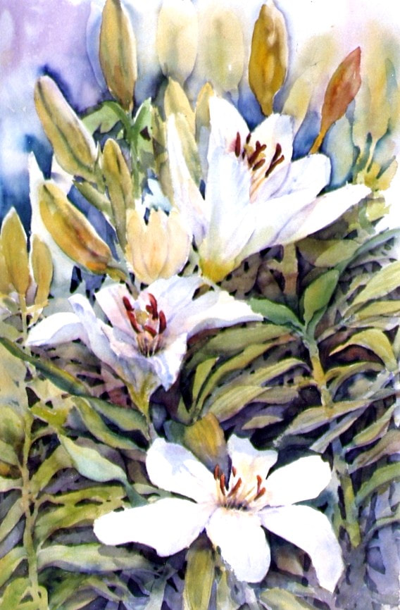 Two white lilies with buds